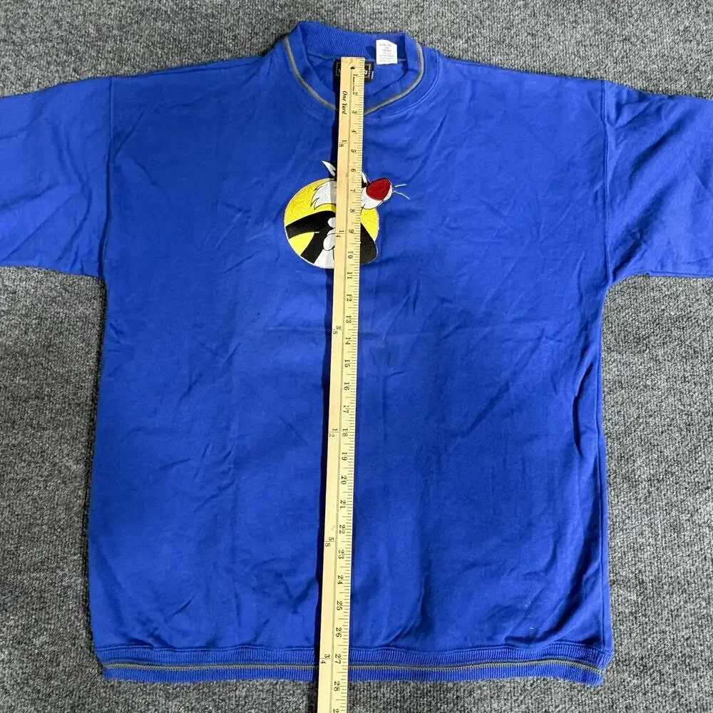 Looney Tunes Sweatshirt Boys XL 18-20 Blue Sylvester Tweety Fleece Pullover